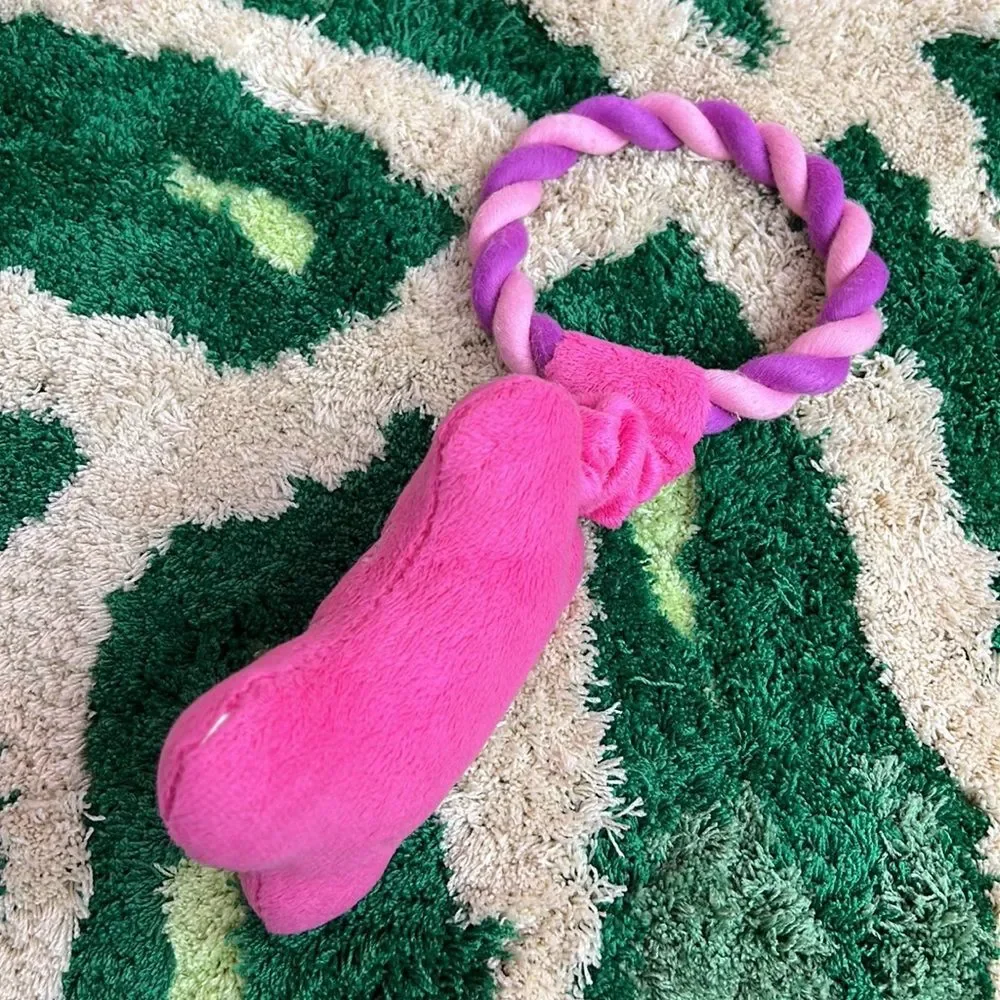 Pups & Kisses Pink Bone Valentine’s Day Dog Squeaky Rope Pull Toy NEW